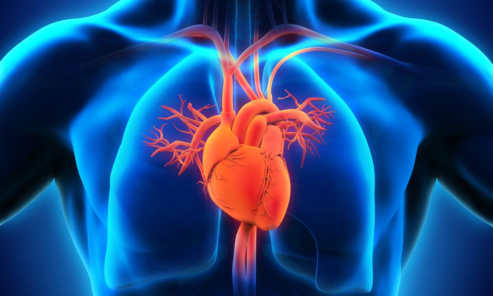 Heart Valve Disease Symptoms Treatment And More